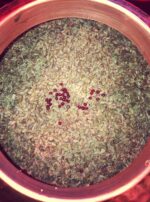 Aldebaran Still Pot Water