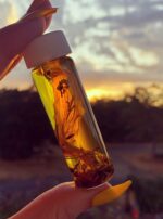 Oil in Sun