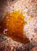 Bath Salts Honey