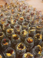 Regulus III oils prep