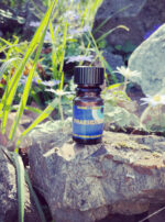 Deneb Algedi II BPAL Praesidium