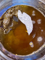 Fomalhaut tincture