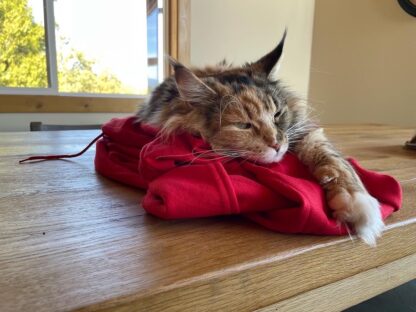 S+ Sweatshirts - Image 6