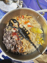 Antares Emperor Scorpion