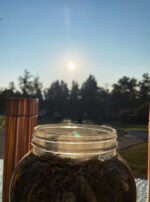 Anointing Oil Sun Water Bottle Golden Sol Sun in Leo Sphere and Sundry