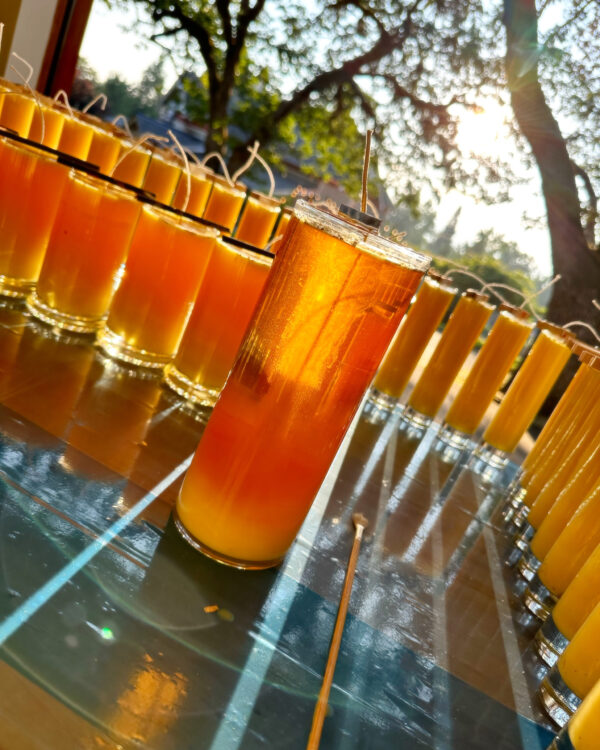 Golden Sol II Candles