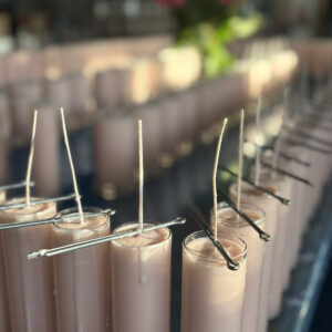Venus' Earthly Delight Candles